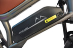 DYU M20 Electric Bike – Power, Comfort & All-Terrain Freedom
